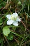 100_7325-c.JPG