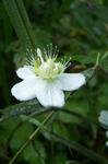 100_7342-c.JPG