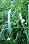 100_7344-c.JPG